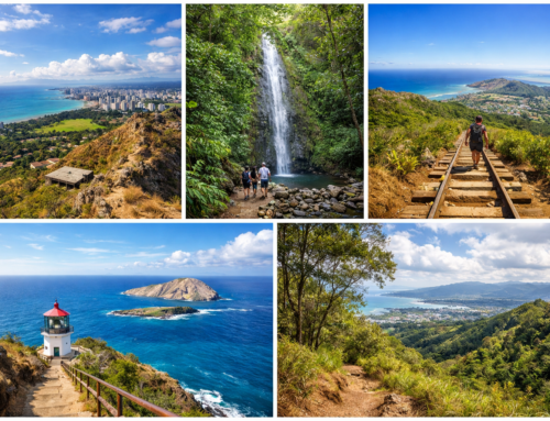 Top 5 Must-Do Hikes in Honolulu (With Local Tips)